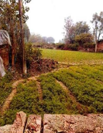 SHIVANI FRESH FOOD 3-09092401